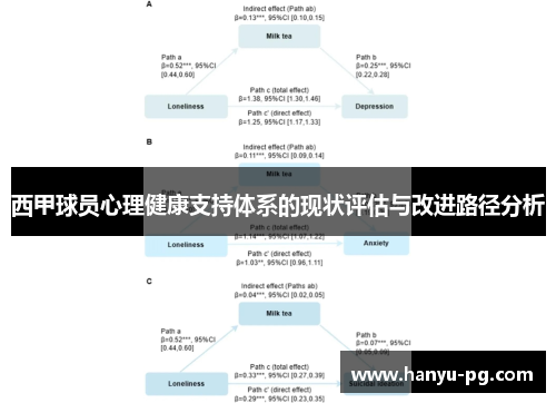 西甲球员心理健康支持体系的现状评估与改进路径分析