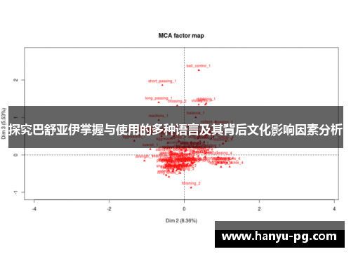 探究巴舒亚伊掌握与使用的多种语言及其背后文化影响因素分析