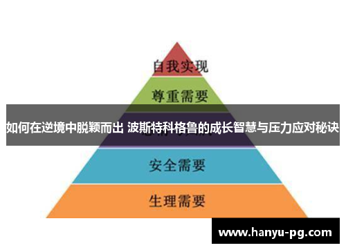 如何在逆境中脱颖而出 波斯特科格鲁的成长智慧与压力应对秘诀 如何在逆境中脱颖而出 波斯特科格鲁的成长智慧与压力应对秘诀