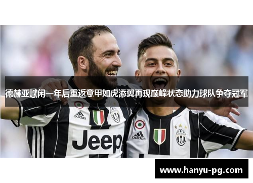 德赫亚赋闲一年后重返意甲如虎添翼再现巅峰状态助力球队争夺冠军 德赫亚赋闲一年后重返意甲如虎添翼再现巅峰状态助力球队争夺冠军